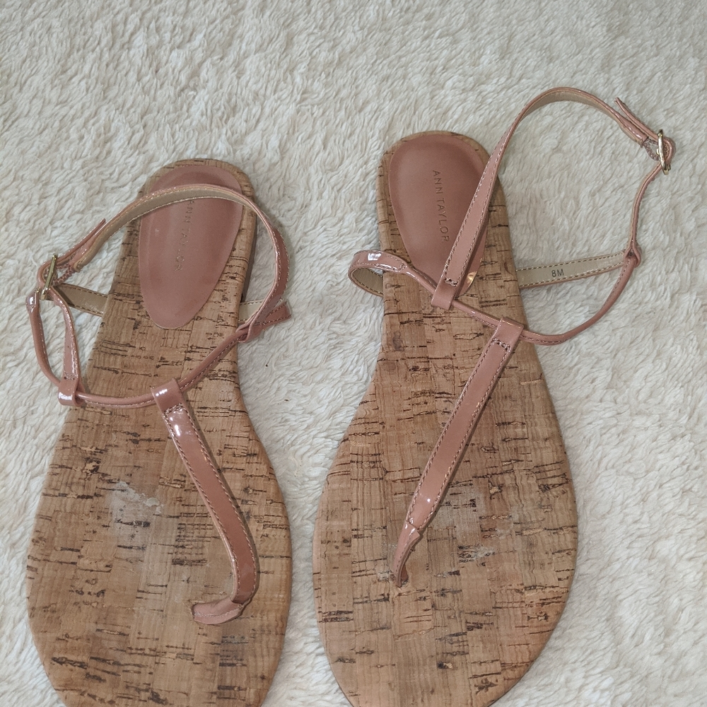 Ann Taylor flat blush sandals